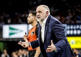 Pablo Laso, en un partido del Baskonia.
