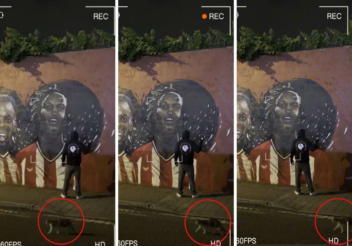 Un gato se cuela en el vídeo de la renovación de Nico Williams por el Athletic