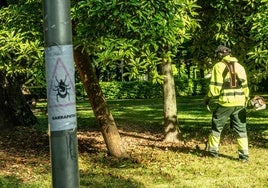 Los servicios mínimos empezaron a aplicarse en junio.