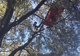 Vista de la plataforma en la que se encuentra el activista.