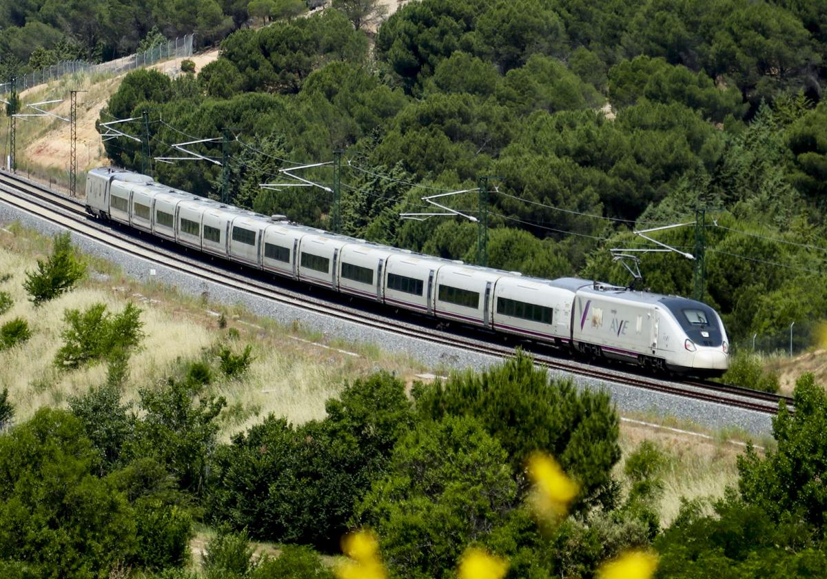 El tren