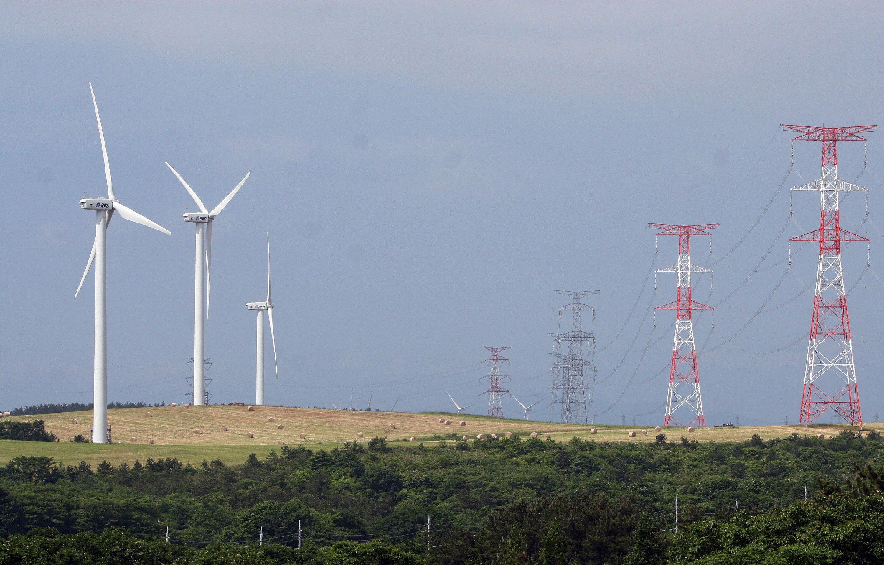 Las cooperativas construyen un mundo mejor