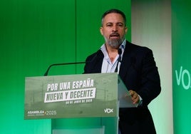 El líder de Vox, Santiago Abascal.