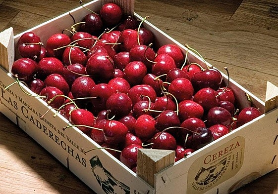 La Plaza Nueva de Bilbao se llenará con más de 3.500 kilos de cerezas este sábado