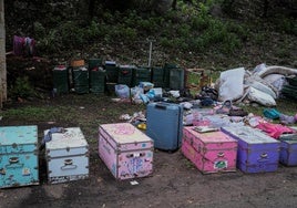 Las maletas de los campistas.