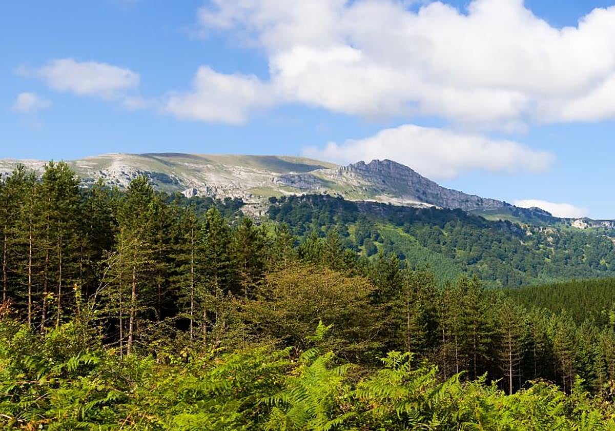 Hallado muerto el hombre de 86 años desaparecido en el Gorbea