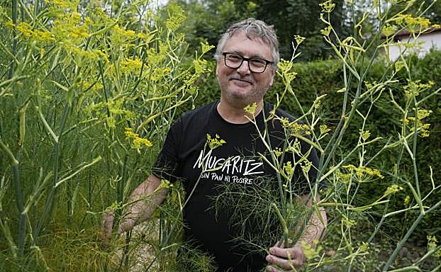 El chef Aduriz, rodeado de plantas de hinojo, en el huerto de Mugaritz.