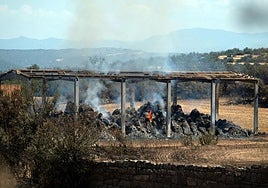 Estabilizado el incendio de Lleida, que ha quemado unas 6.500 hectáreas.