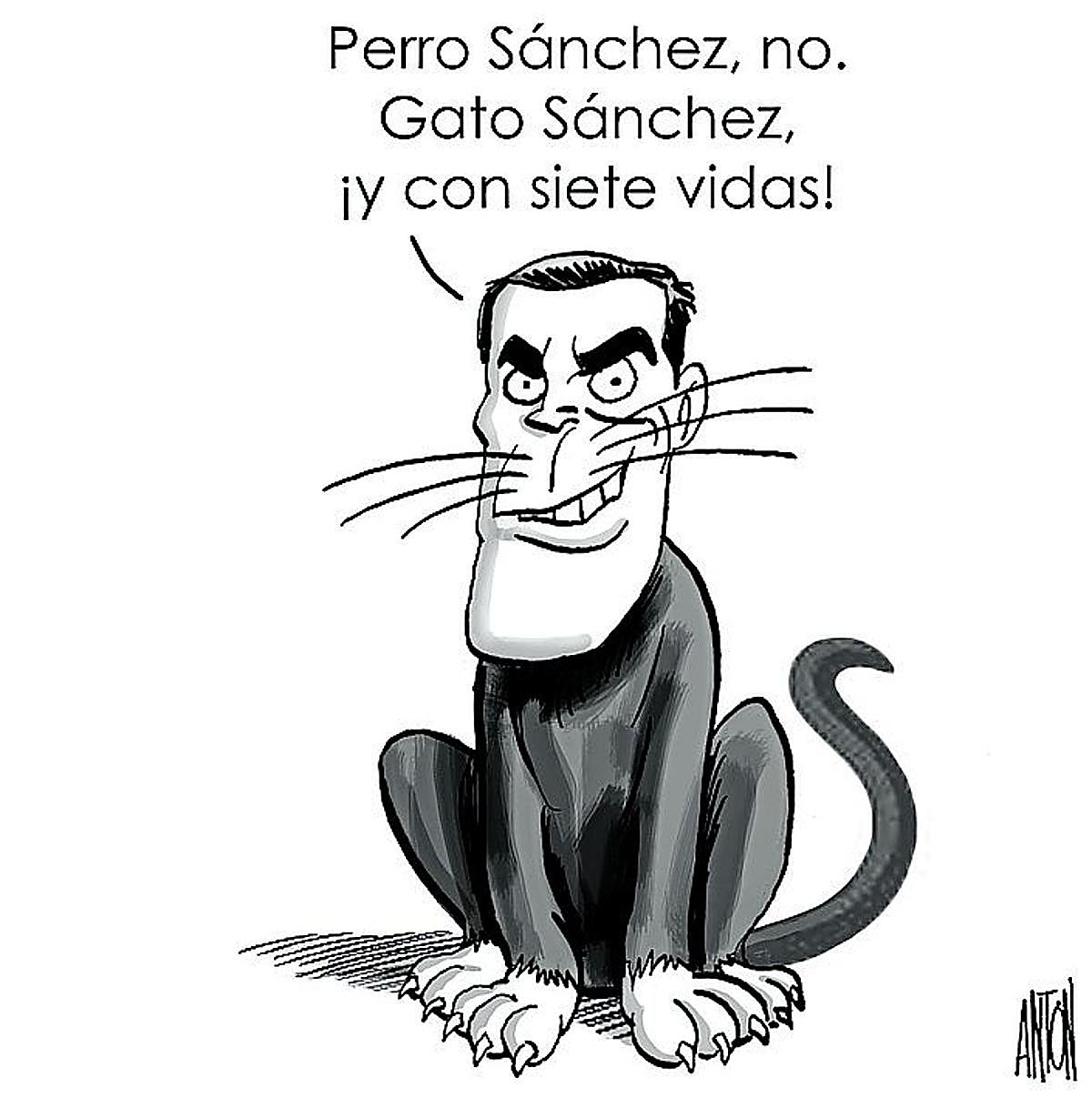 La viñeta de Antón