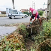 Trabajos en Rioja alavesa el día después de la tormenta.