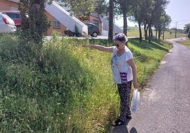 Palmira Merino muestra la altura «de unos 70 centímetros» de las hierbas sin contar desde otoño.