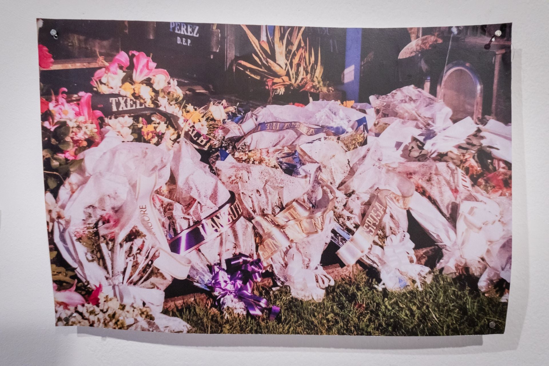 La Sala Amárica reabre con una apuesta por el arte contemporáneo local