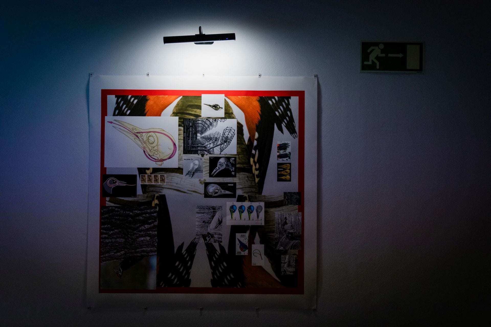 La Sala Amárica reabre con una apuesta por el arte contemporáneo local