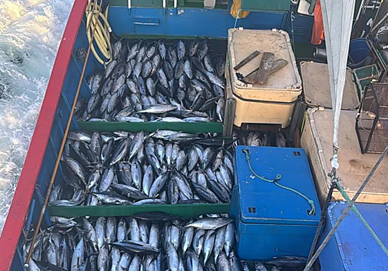 El Nuevo Libe bate el récord de descarga de bonito en Santoña con 78.000 kilos de una sola marea