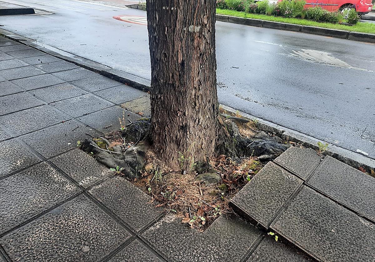 Acera levantada en la zona del Centro Médico Landako de Durango.