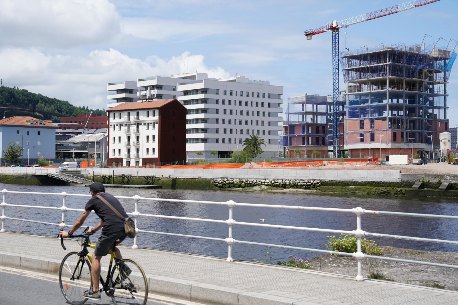 Zona sur de la isla de Zorrozaurre