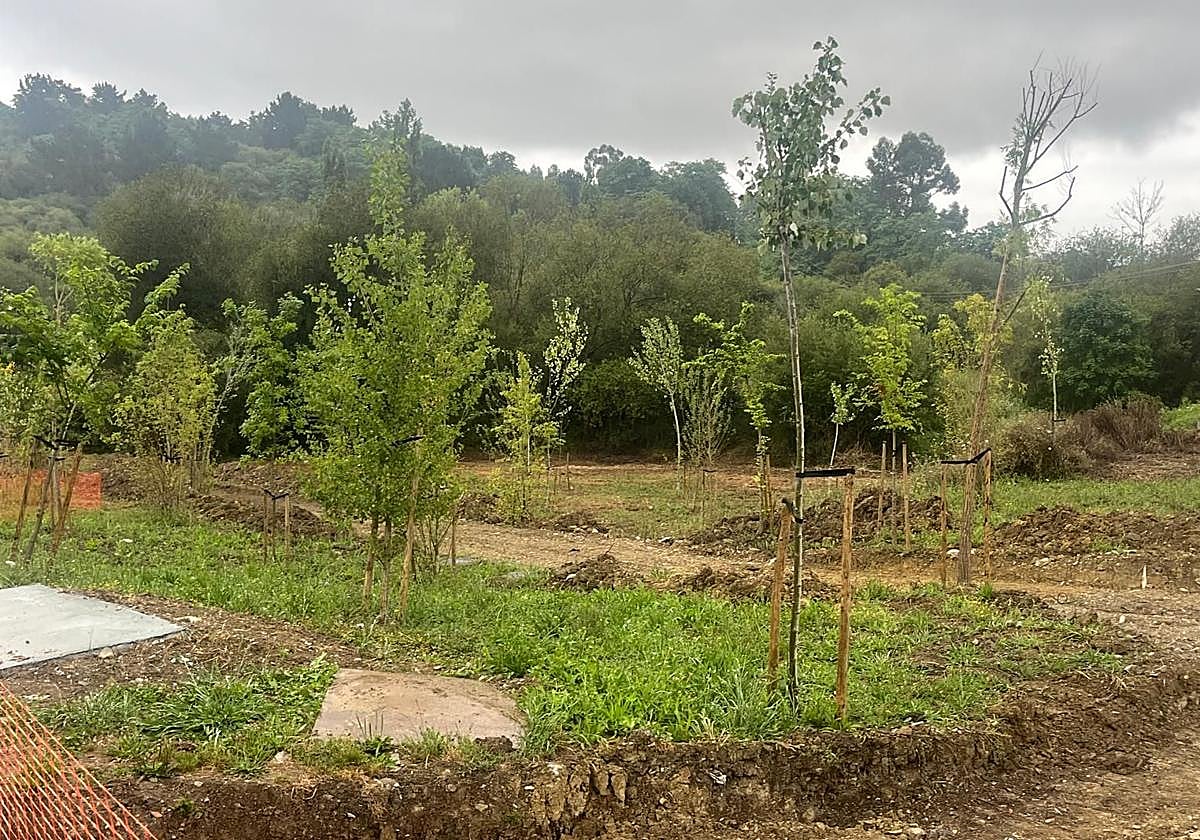 Zona junto al arroyo Itze donde ya han comenzado las obras del futuro paseo fluvial peatonal y ciclable.