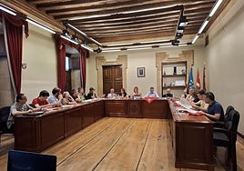 El documento se aprobó en el Pleno celebrado la pasada semana.