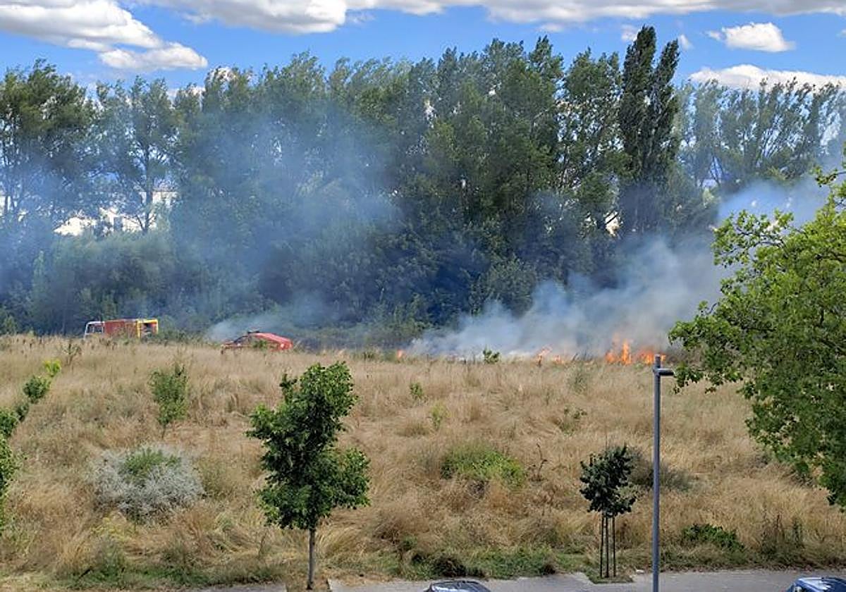 El incendio se ha producido junto a la zona de las huertas.