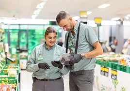 Muestra cómo eran las bolsas de Mercadona en los 90 y desata un debate en redes: «¿Había una tarjeta de socios?»