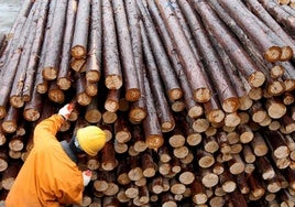 El proceso para crear esta madera se prolonga durante 5.000 años en la naturaleza. En el laboratorio lo han reproducido en cinco días.