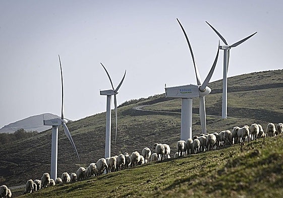 Parque eólico de Elguea