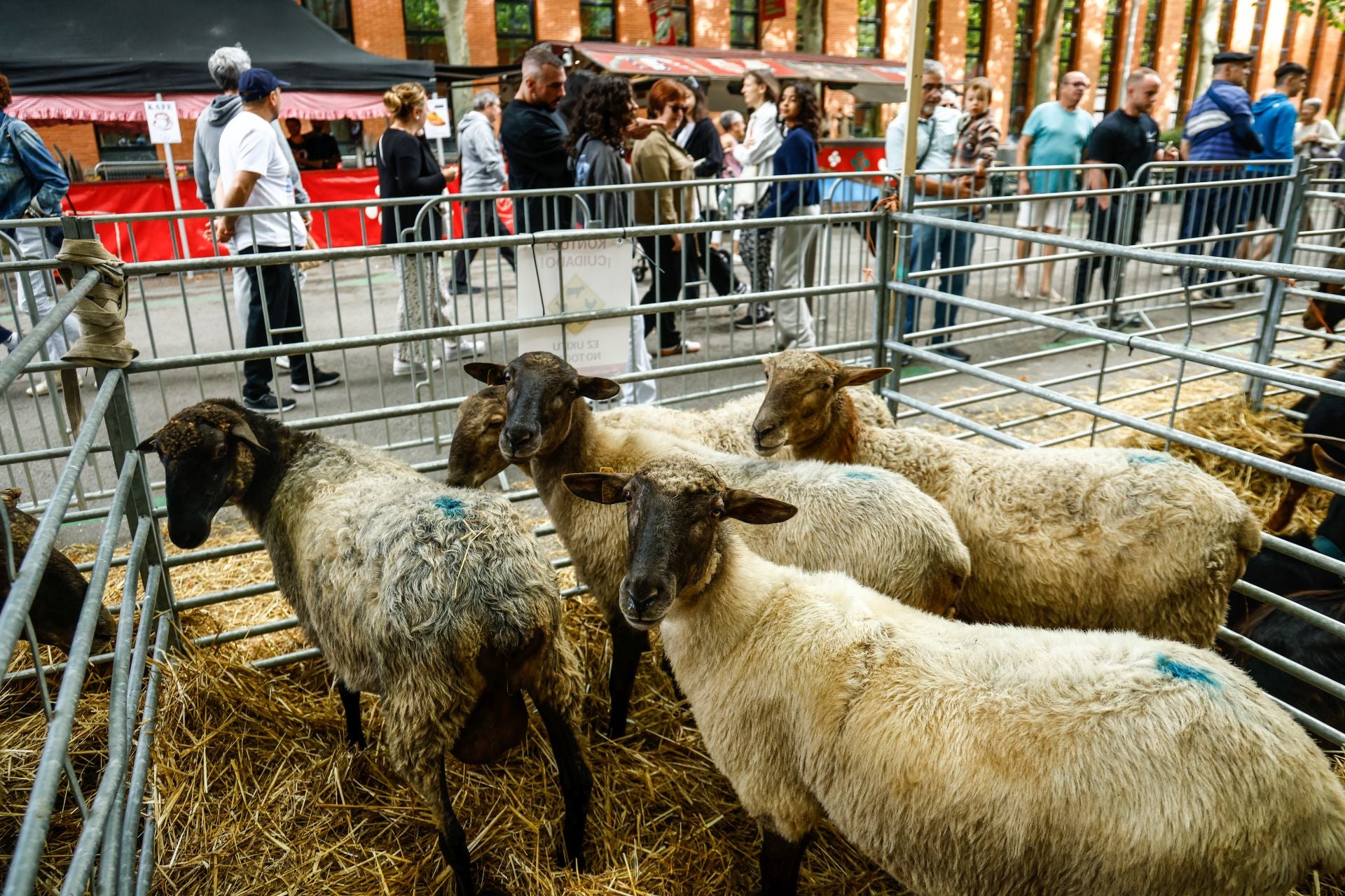 El Día del Blusa y la Neska, en imágenes