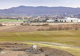 La expansión de Miñano por el norte está prevista en este terreno que ahora está sembrado.