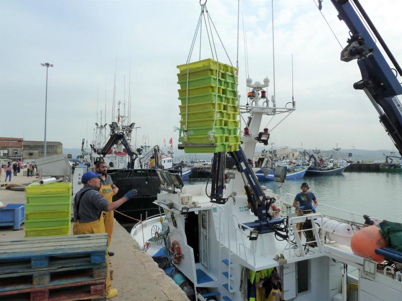 Varios operarios descargan de una embarcación cajas con anchoa en el Puerto de Santoña