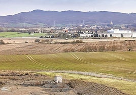 La expansión de Miñano por el norte está prevista en este terreno que ahora está sembrado.