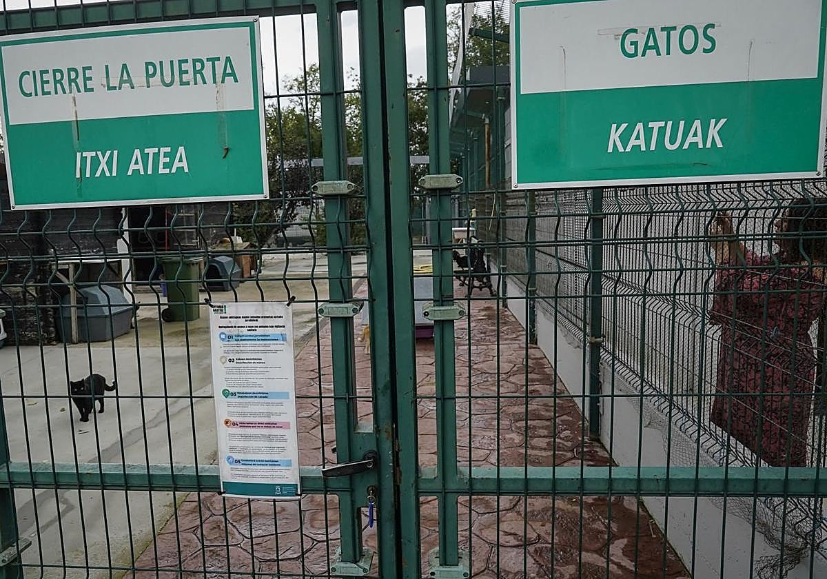 Acceso a uno de los departamentos de la perrera de Vitoria.