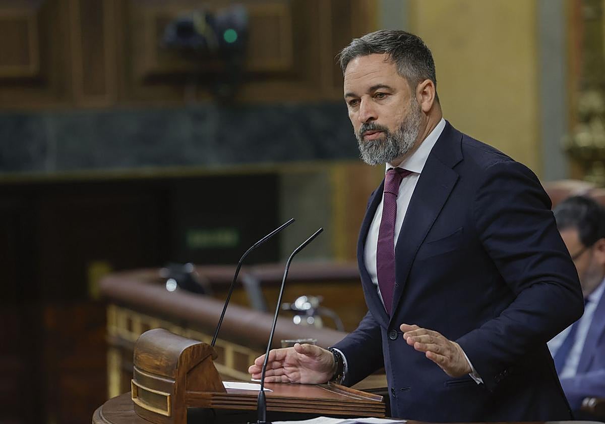 El líder de Vox, Santiago Abascal.