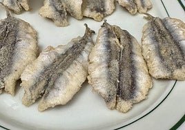 Un tasco almeriense de muchos quilates