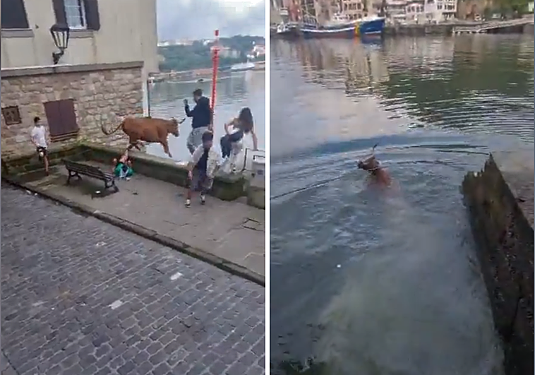 Susto en Pasajes tras caer una vaquilla al agua durante las fiestas