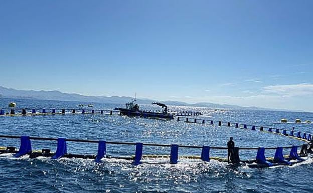 Una de las dos jaulas de engorde sumergibles de atún rojo frente a Getaria.