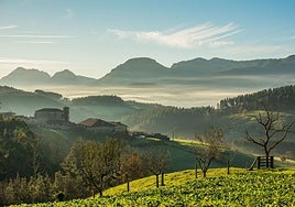 El 69% de las visitas a los parketxes se concentran en días laborables.