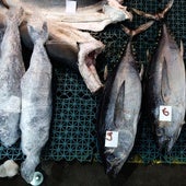 Alerta alimentaria «grave» por la presencia de partículas de vidrio en un conocido pescado procedente de España