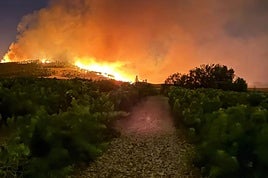 Zona de Treviana, en Obarenes.