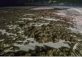 Estado de la playa de Berria en la noche del martes.