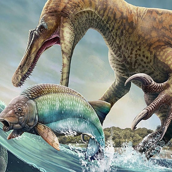 Así se resucita a un dinosaurio