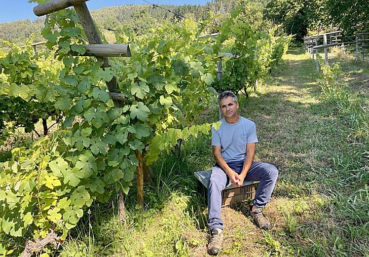 Alfredo Egia en su viña de Los Atravesados (Balmaseda).