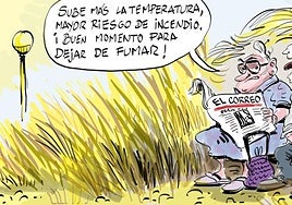 La viñeta de Cerrajería sobre la ola de calor en Álava
