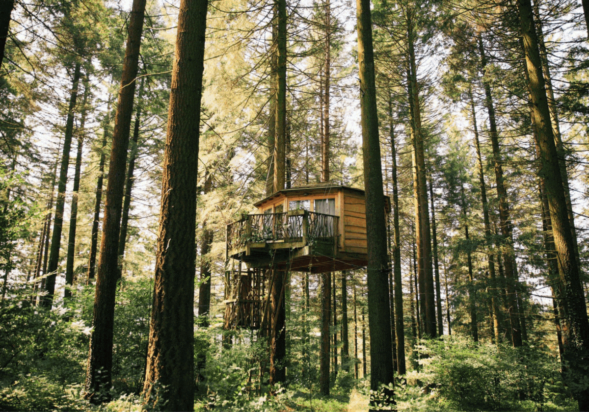 Alojamientos de lo más peculiares y cercanos