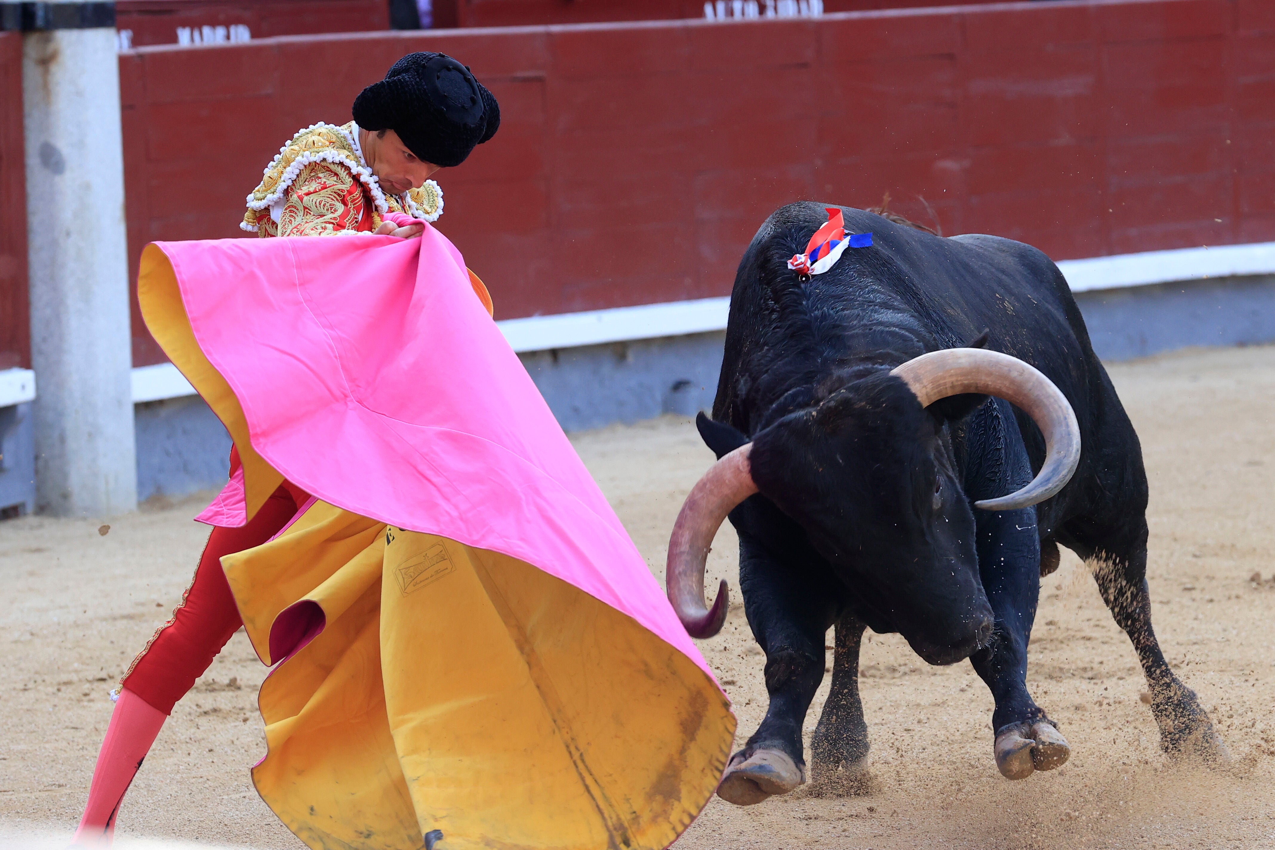 Juventud y tauromaquia