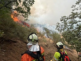 Ayuda de los equipos de bomberos y otros profesionales de Bizkaia en los incendios de León