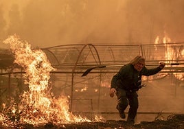 Un guarda forestal arriesga su propia vida mientras realiza labores de extinción en la localidad de Carballeda de Avia, en Ourense.