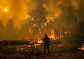 Un guarda forestal trabaja en labores de extinción del incendio forestal de Carballeda de Avia (Ourense).
