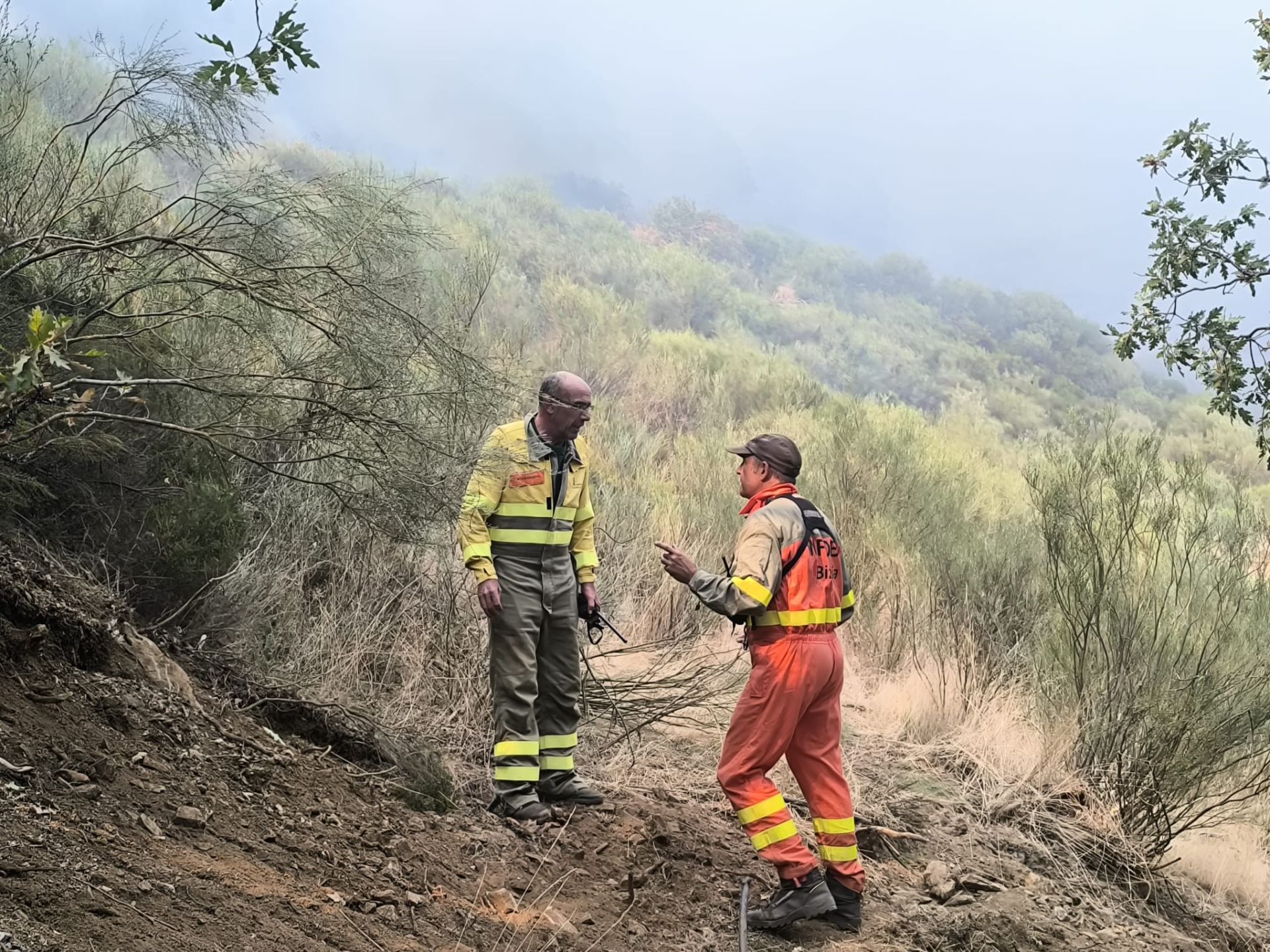 Ayuda de los equipos de bomberos y otros profesionales de Bizkaia en los incendios de León