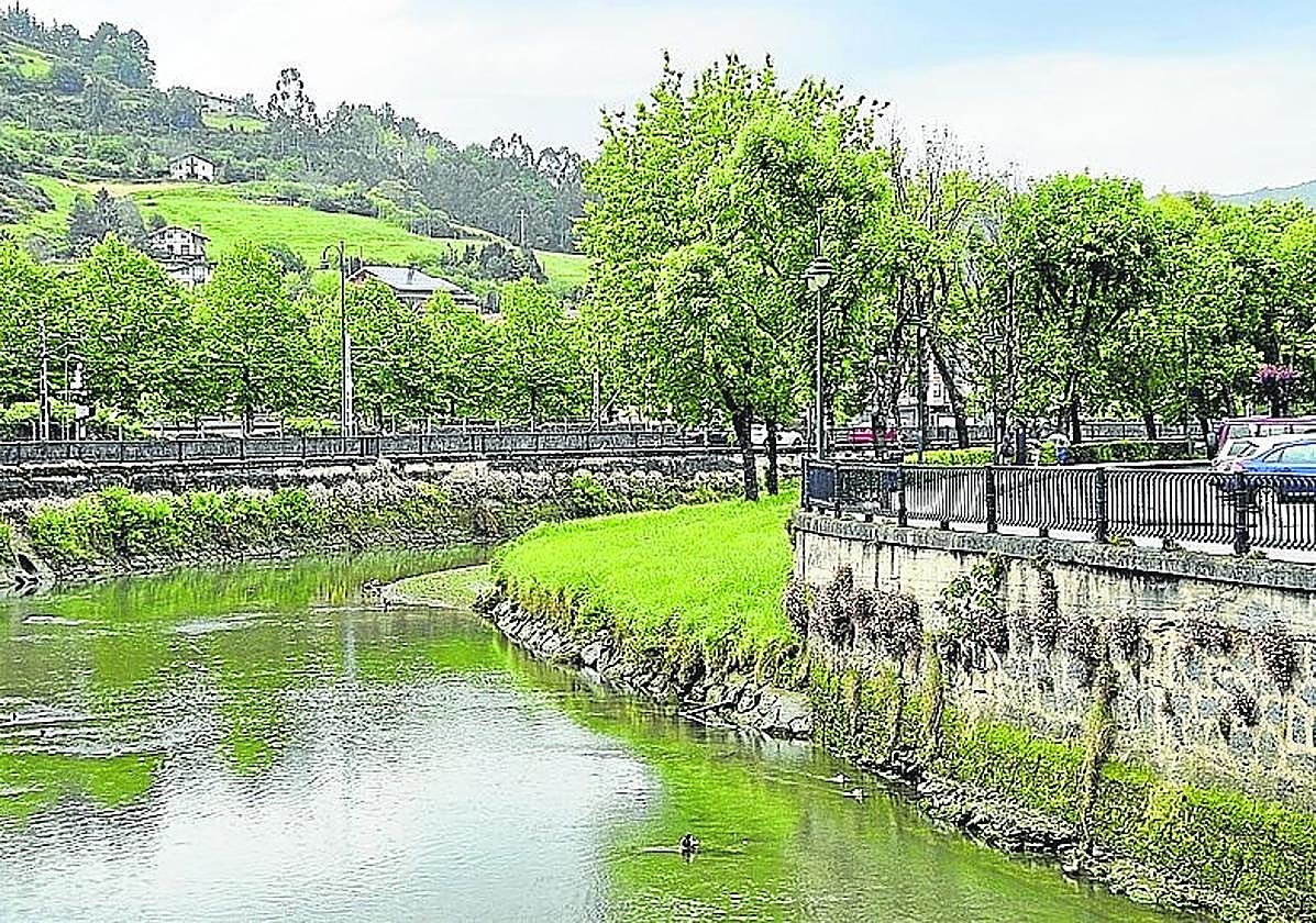 La ría de Gernika se ha queado sin patos.