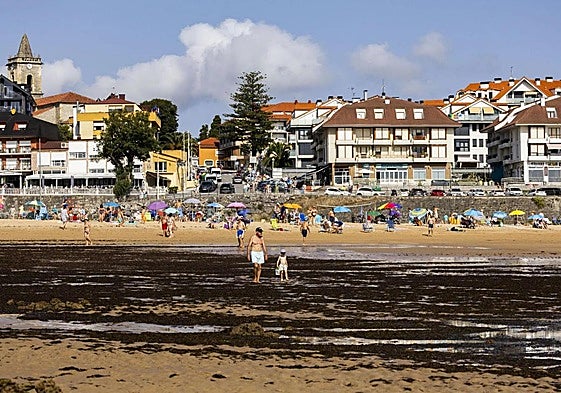 Las algas invasoras dan una tregua a las playas de Noja